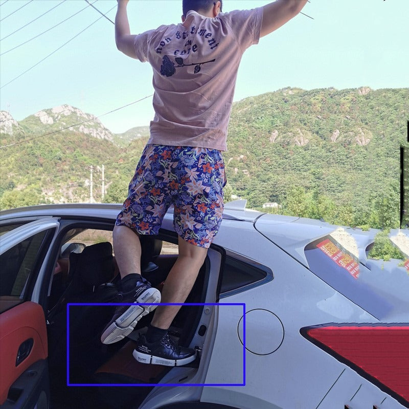 Universal Roof Door Pedal Step